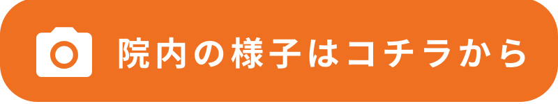画像の説明